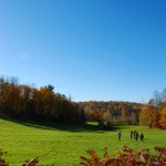 Meadow