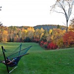 Meadow